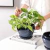 imagevicrays Ceramic Plant Pots Indoor  65 Inch Planter Pot with Drainage Hole and Saucer for Succulent Orchid Flower Herbs Cactus  Ideal for Gardening Home Desktop Office Decor  RedBlue