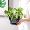 imagevicrays Ceramic Plant Pots Indoor  65 Inch Planter Pot with Drainage Hole and Saucer for Succulent Orchid Flower Herbs Cactus  Ideal for Gardening Home Desktop Office Decor  RedBlue