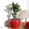 imagevicrays Ceramic Plant Pots Indoor  65 Inch Planter Pot with Drainage Hole and Saucer for Succulent Orchid Flower Herbs Cactus  Ideal for Gardening Home Desktop Office Decor  RedRed