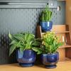 imagevicrays Ceramic Plant Pots Indoor  685543 Inch Planter Pot with Drainage Hole and Saucer for Succulent Orchid Flower Herbs Cactus  Gardening Home Desktop Office Decor  Set of 3 Blue
