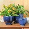 imagevicrays Ceramic Plant Pots Indoor  685543 Inch Planter Pot with Drainage Hole and Saucer for Succulent Orchid Flower Herbs Cactus  Gardening Home Desktop Office Decor  Set of 3 Blue