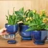 imagevicrays Ceramic Plant Pots Indoor  685543 Inch Planter Pot with Drainage Hole and Saucer for Succulent Orchid Flower Herbs Cactus  Gardening Home Desktop Office Decor  Set of 3 Blue