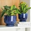 imagevicrays Ceramic Plant Pots Indoor  685543 Inch Planter Pot with Drainage Hole and Saucer for Succulent Orchid Flower Herbs Cactus  Gardening Home Desktop Office Decor  Set of 3 Blue