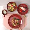 imagevicrays Ceramic Dinner Plates Set 105 Inch Set of 6 Round Microwave Oven Dishwasher Safe Porcelain Fluted Suitable for Steak Pasta Pizza Home Party Restaurant BeigeCherry Red