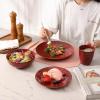 imagevicrays Ceramic Dinner Plates Set 105 Inch Set of 6 Round Microwave Oven Dishwasher Safe Porcelain Fluted Suitable for Steak Pasta Pizza Home Party Restaurant BeigeCherry Red