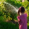 image:imagePocket Hose Razor Blast NonExpandable 50 Ft Tubro Shot Nozzle Multiple Spray Patterns ExtraRugged Lightweight Garden Hose 34 in Solid Aluminum LeadFree Fittings Lightweight NoKink AntiLeak