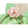 imageWonderBabe Princess and The Frog Dress for Girls Birthday Party Fairy Dress Up Kids Halloween Costume with SleeveletGreen