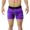 Classic Purple