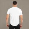 imageBROKIG Mens TDry Bold Gym Workout TShirtCasualFit Training Bodybuilding Short Sleeve Shirts MenWhite