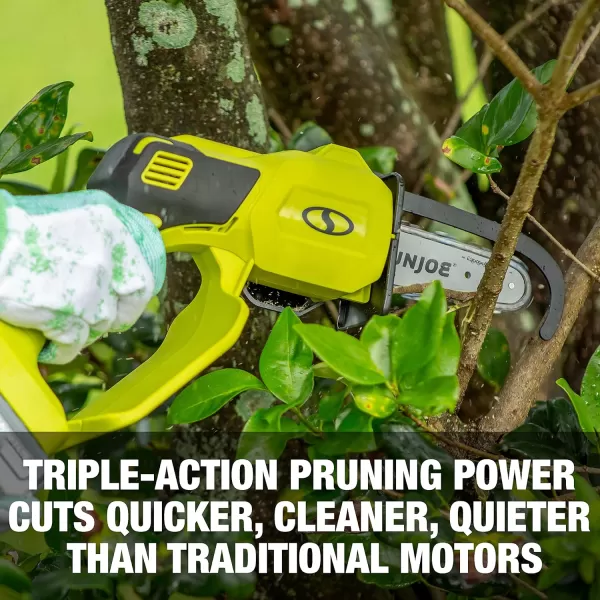 Sun Joe 24V-HCS-LTE-P1 24-Volt iON+ Cordless Mini Chainsaw, Green &amp; SWJ-OIL Premium Bar, Chain and Sprocket Oil, All Season Chainsaw Chain Lubrication, 1-Quart