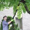 imageSun Joe 24VGTS4004XT 24V IONMAX BlowerHedge Trimmer ampamp 8in Pole Saw Kit w2x24V 20Ah Batt Charger ampamp Pole24VGTS4004XT Kit w 2 x 20Ah Batteries  Dual Port Charger