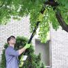 imageSun Joe 24VGTS4004XT 24V IONMAX BlowerHedge Trimmer ampamp 8in Pole Saw Kit w2x24V 20Ah Batt Charger ampamp PoleGTS4001C Kit w 20Ah Battery  Charger