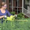 imageSun Joe SJH901E 18Inch Electric Telescoping Pole Hedge Trimmer19Inch Blade