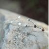 imageMarycrafts Sterling Silver Cancer Constellation Earrings Ear Crawler Ear Climber