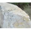 imageMarycrafts Sterling Silver Ursa Minor Constellation Ear Crawler