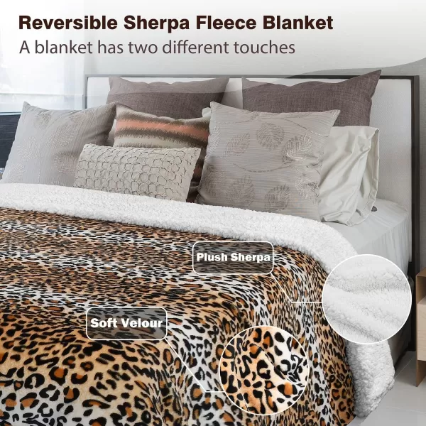 Catalonia Cheetah Sherpa Fleece Blanket for Bed Super Soft Plush Sofa Couch Throw Blanket TV Bed Blanket Comfy Cozy Fluffy Warm Comforter Caring Gift 60x80 inch90x90 inches Cheetah