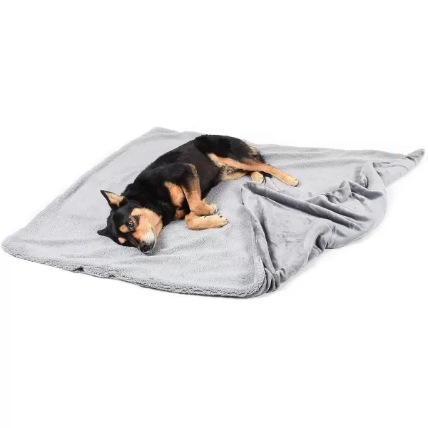 Kritter Planet Large Dog Blanket Super Soft Fluffy Sherpa Fleece Dog Couch Blankets and Throws for Large Medium Small Dogs Puppy Doggy Pet Cats 50x60 inchesDark Grey