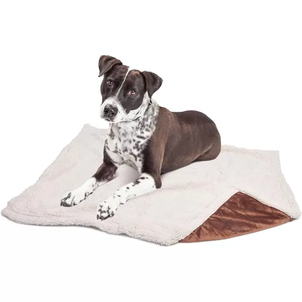 Kritter Planet Puppy Blanket Super Soft Sherpa Dog Blankets and Throws Cat Fleece Sleeping Mat for Pet Small Animals 45x30 LatteBrown