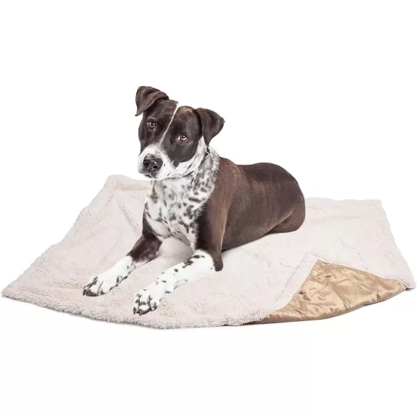 Kritter Planet Puppy Blanket Super Soft Sherpa Dog Blankets and Throws Cat Fleece Sleeping Mat for Pet Small Animals 45x30 LatteLatte