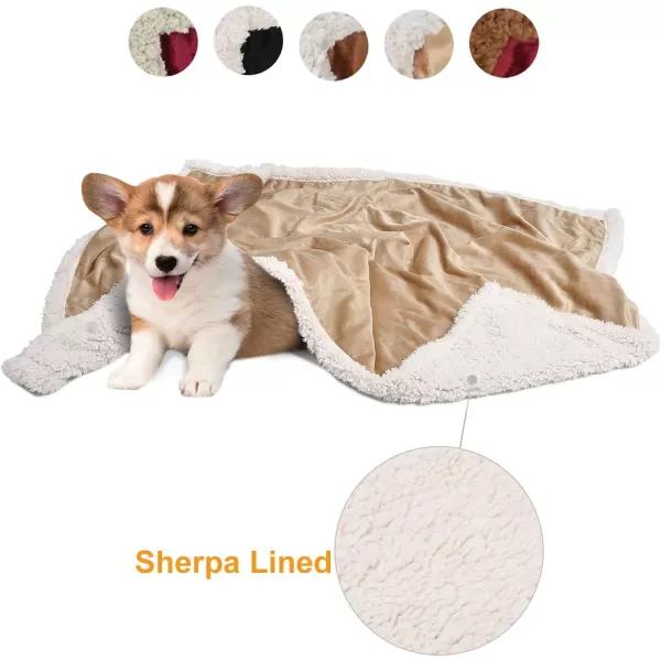 Kritter Planet Puppy Blanket Super Soft Sherpa Dog Blankets and Throws Cat Fleece Sleeping Mat for Pet Small Animals 45x30 LatteLatte