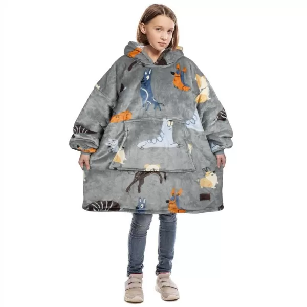 Catalonia Blanket Hoodie for Kids Oversized Wearable Sherpa Sweatshirt Pullover for Teens Youth Gift IdeaDog Kids