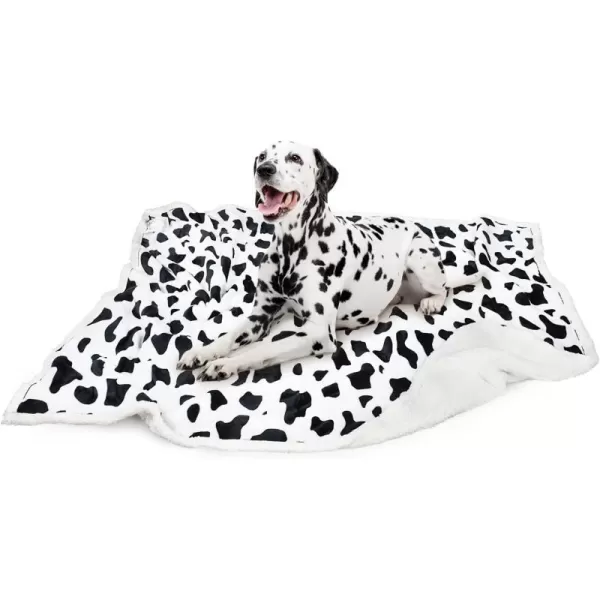 Kritter Planet Large Dog Blanket Super Soft Fluffy Sherpa Fleece Dog Couch Blankets and Throws for Large Medium Small Dogs Puppy Doggy Pet Cats 50x60 inchesDalmatian