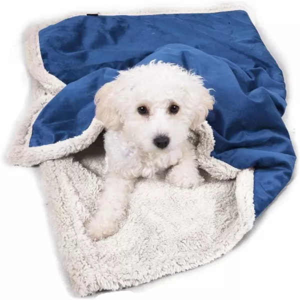 Kritter Planet Puppy Blanket Super Soft Sherpa Dog Blankets and Throws Cat Fleece Sleeping Mat for Pet Small Animals 45x30 LatteBlue