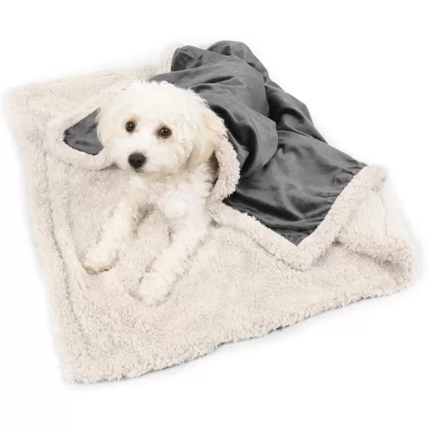 Kritter Planet Puppy Blanket Super Soft Sherpa Dog Blankets and Throws Cat Fleece Sleeping Mat for Pet Small Animals 45x30 LatteGrey