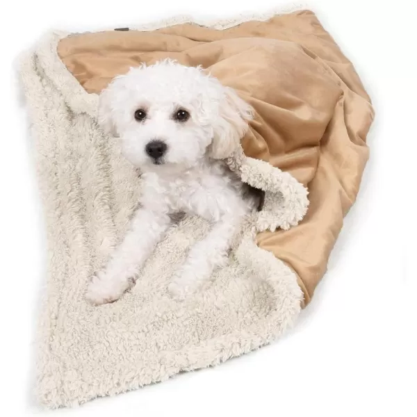 Kritter Planet Puppy Blanket Super Soft Sherpa Dog Blankets and Throws Cat Fleece Sleeping Mat for Pet Small Animals 45x30 LatteLatte