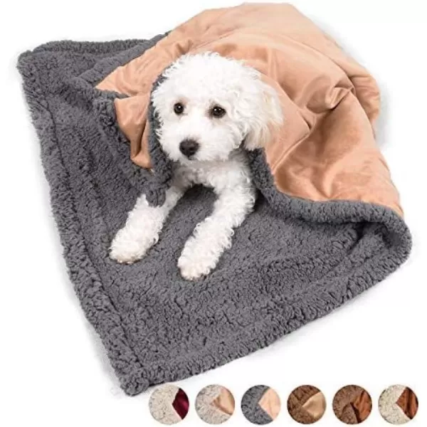 Kritter Planet Puppy Blanket Super Soft Sherpa Dog Blankets and Throws Cat Fleece Sleeping Mat for Pet Small Animals 45x30 LatteLatteampgrey