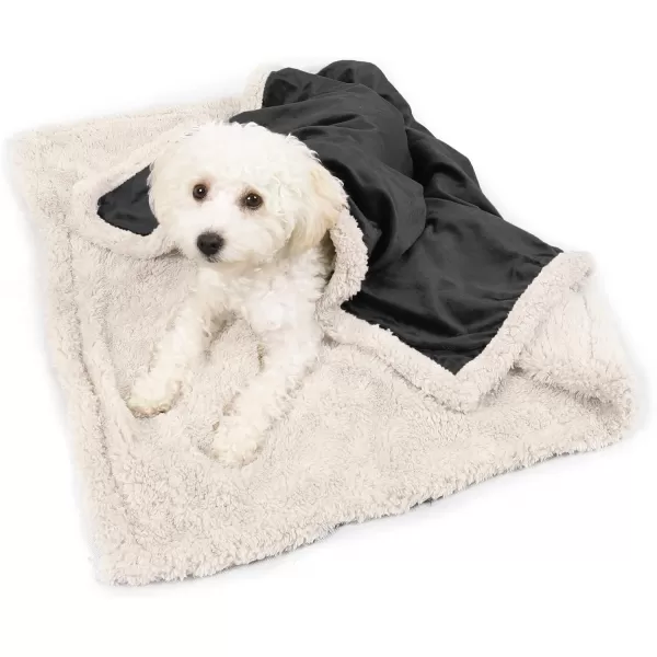 Puppy Blanket Super Soft Sherpa Dog Blankets and Throws Cat Fleece Sleeping Mat for Pet Small Animals 45x30 LatteBlack