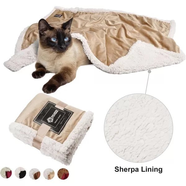 Puppy Blanket Super Soft Sherpa Dog Blankets and Throws Cat Fleece Sleeping Mat for Pet Small Animals 45x30 LatteLatte