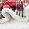 imageCatalonia Red Plaid Sherpa Fleece Throw Blanket Reversible Super Soft Warm Comfy Fluffy Snuggle Micro Plush Throws for Bedding Couch TV 60quotx50quot Buffalo Valentines Day GiftRed Plaid