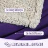 imageCatalonia Waterproof Bed Blanket Washable Leakproof Bed Cover for Couples Reversible Protector Blanket for Couch Sofa Stain Proof Blanket Pad for Adults 50X60 inches PurplePurpleTaupe