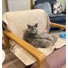 imageKritter Planet No Slip Pet Couch Cover Waterproof Dog Blanket Bed Cover Washable Sofa Furniture Protector Pad Mat for Dogs CatsLatte