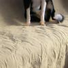 imageKritter Planet No Slip Pet Couch Cover Waterproof Dog Blanket Bed Cover Washable Sofa Furniture Protector Pad Mat for Dogs CatsLatte