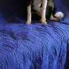 imageKritter Planet No Slip Pet Couch Cover Waterproof Dog Blanket Bed Cover Washable Sofa Furniture Protector Pad Mat for Dogs CatsNavy