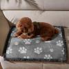 Paw Print