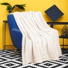 image:imageCatalonia Super Soft Fuzzy Plush Throw Blanket for Adults and Kids White Fleece Velvet Living Room DecorBeige