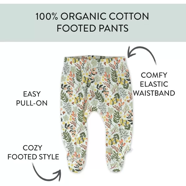 HonestBaby 3Pack Footed Pants Roomy Fit Pull on Bottoms 100 Organic Cotton for Infant Baby Boys Girls UnisexScottish Ivy
