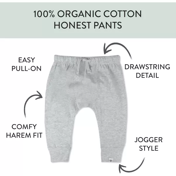 HonestBaby Honest Pants Joggers Pull on 100 Organic Cotton for Infant Baby and Toddler Boys Girls Unisex2pack Blue Lion Crest