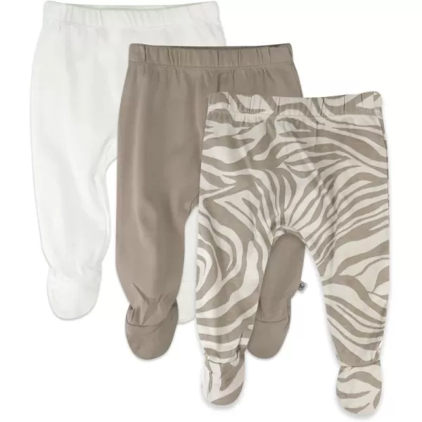 Zanzibar Zebra