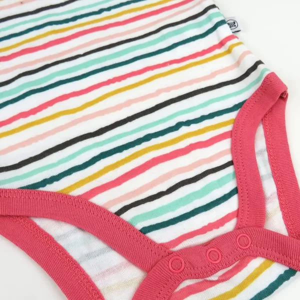 HonestBaby Unisex Baby Multipack Short Sleeve Bodysuits OnePiece 100 Organic Cotton4pack Butterfly Garden