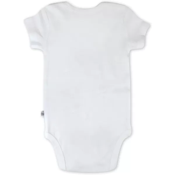 HonestBaby Unisex Baby Multipack Short Sleeve Bodysuits OnePiece 100 Organic Cotton4pack Flower Power