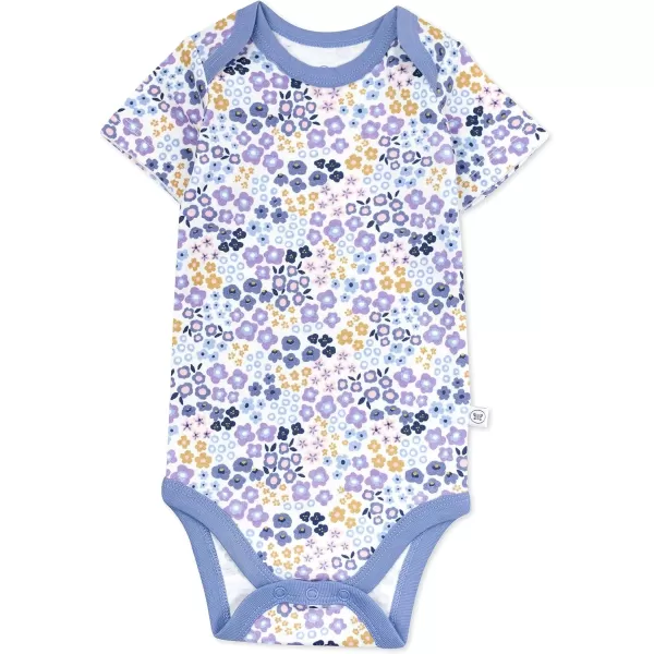 HonestBaby Unisex Baby Multipack Short Sleeve Bodysuits OnePiece 100 Organic Cotton4pack Prairie Pretty