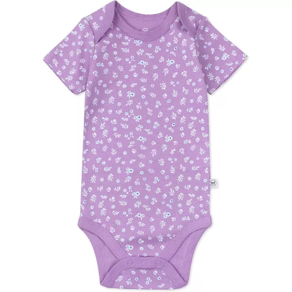 HonestBaby Unisex Baby Multipack Short Sleeve Bodysuits OnePiece 100 Organic Cotton4pack Prairie Pretty