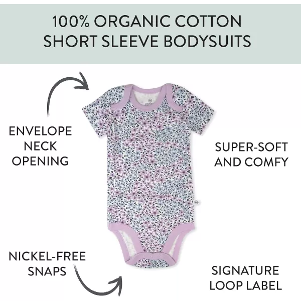 HonestBaby babygirls 5pack Short Sleeve Bodysuits Onepiece 100 Organic Cotton for Infant Baby Girls5pack Jumbo Floral Dusty Purple