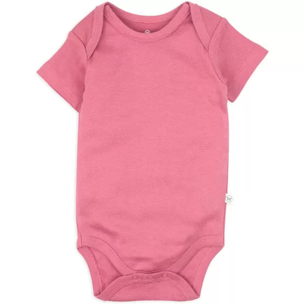 HonestBaby babygirls 5pack Short Sleeve Bodysuits Onepiece 100 Organic Cotton for Infant Baby Girls5pack Pink Ombre