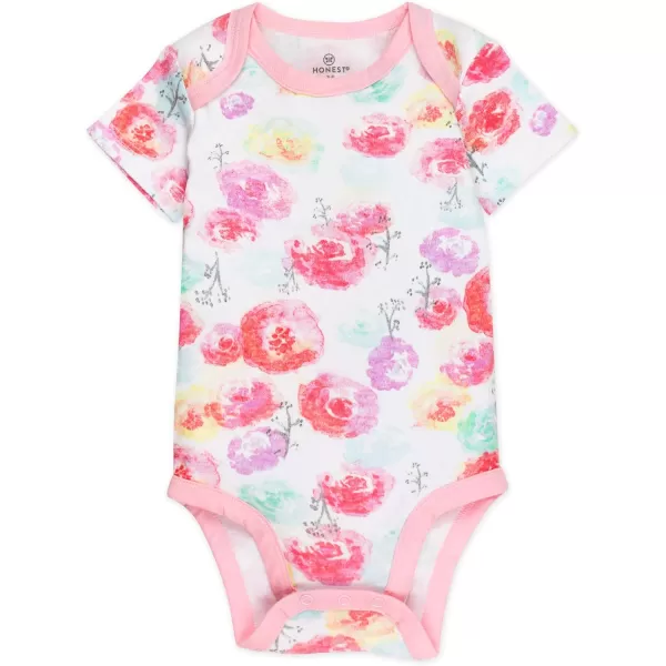 HonestBaby babygirls 5pack Short Sleeve Bodysuits Onepiece 100 Organic Cotton for Infant Baby Girls5pack Rose Blossom