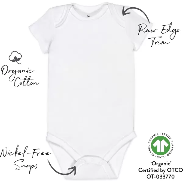 HonestBaby babygirls 5pack Short Sleeve Bodysuits Onepiece 100 Organic Cotton for Infant Baby Girls5pack Rose Blossom